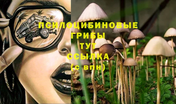 наркотики Алексин