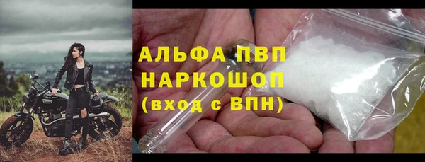 PSILOCYBIN Алзамай