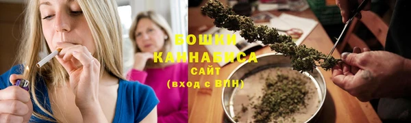 PSILOCYBIN Алзамай