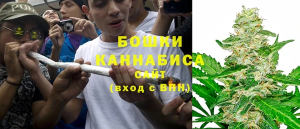 PSILOCYBIN Алзамай