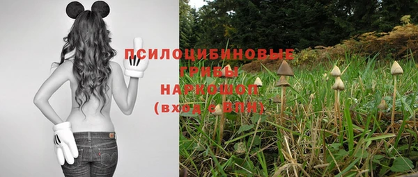 наркотики Алексин