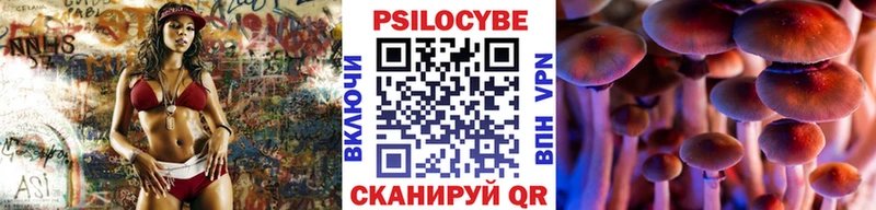 Псилоцибиновые грибы Cubensis  Вихоревка 